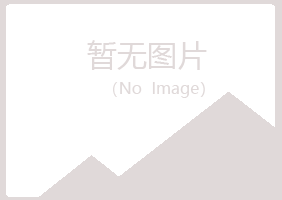 龙马潭区夏岚水泥有限公司